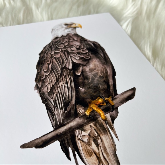 Watercolor Wall Art Print Eagle Portrait Unframed - Picture 10 of 13